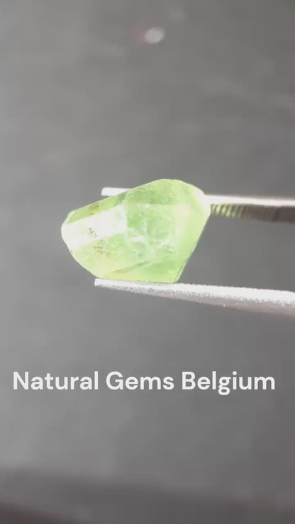 Natural Green Peridot - 5.329 ct - rough gemstone - facet quality- certified natural