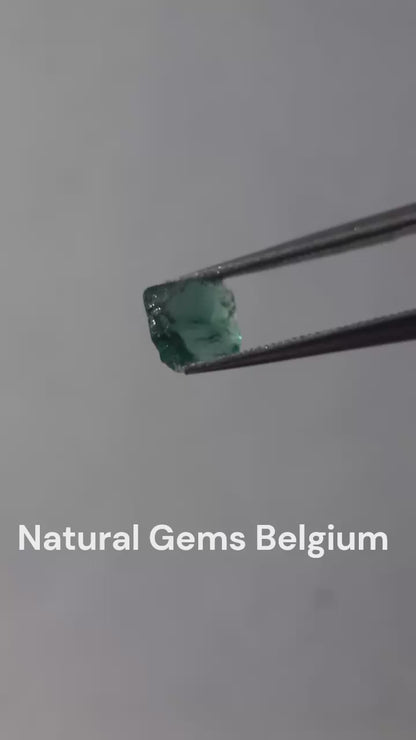 Natural Green Apatite - 0.56 ct - Rough Gemstone - unheated