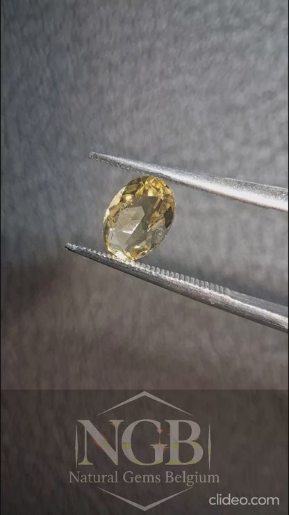 Natural Citrine – Faceted Oval Cut 5x7 mm 0.800 ct Sunlight Yellow | Loose Gemstone