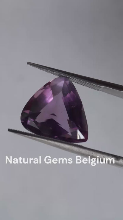 Natural purple to medium purple Amethyst - 5.44 ct - trillion - unheated