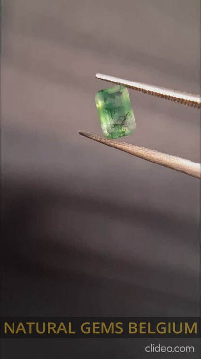 Natural Faceted Agate - Green Moss Agate - 0.480 ct - octagon