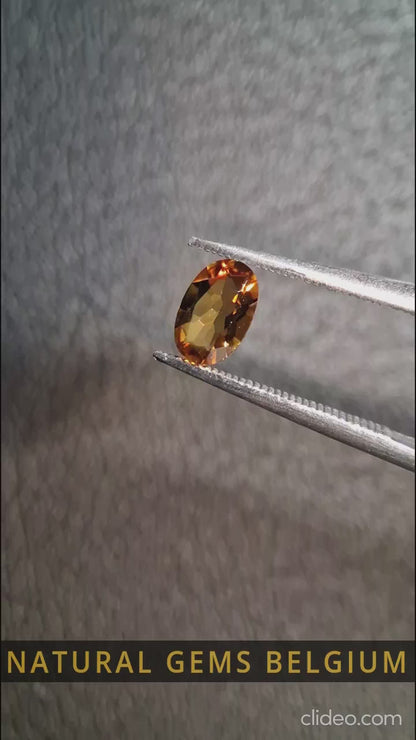 Citrine Naturelle – Ovale facettée 4x6 mm 0,370 ct Jaune miel | Pierre précieuse seule
