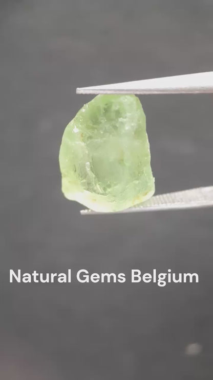 Natural Green Peridot - 7.083 ct - rough gemstone - for faceting - certified natural