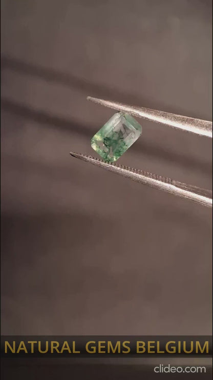 Natural Faceted Agate - Green Moss Agate - 0.482 ct - octagon