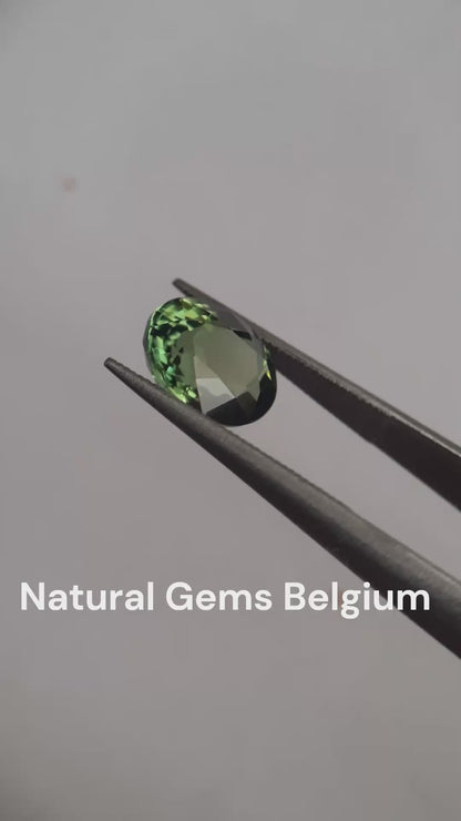 Natural Green Tourmaline - 1.639 ct - oval - clean - very good luster - unheated verdelite