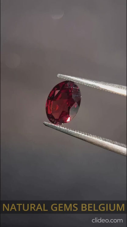 Grenat naturel - Rhodolite - 0,790 ct - ovale - non chauffé - rouge