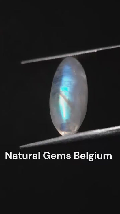 Natural Moonstone - lightblue and blue adularescence - 4.334 ct - marquise cabochon