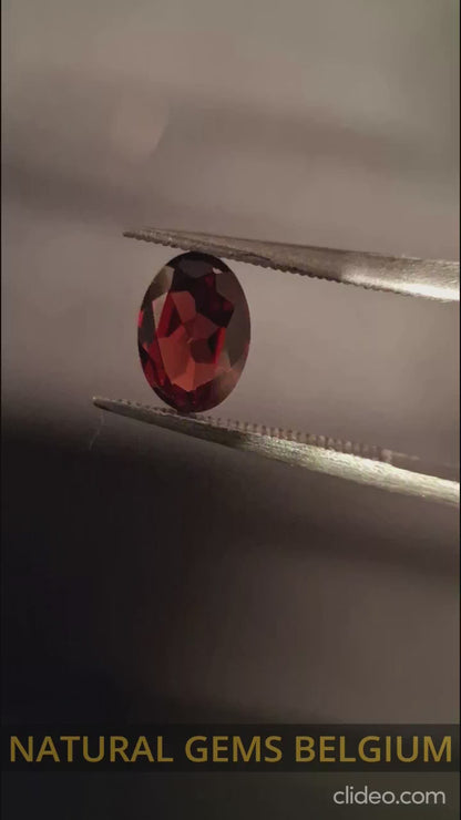 Natural Garnet - Rhodolite - 0.785 ct - oval - unheated- red