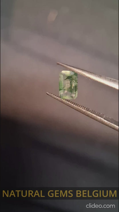 Natural Faceted Agate - Green Moss Agate - 0.481 ct - octagon