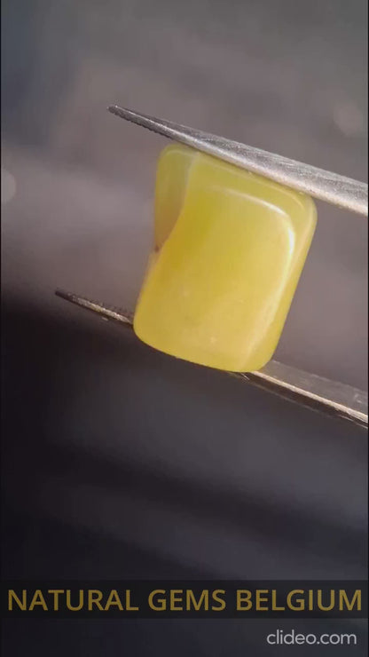 Natural Jade - lemon jade - tumbled jade - 10.615 ct - 3 color yellow jade