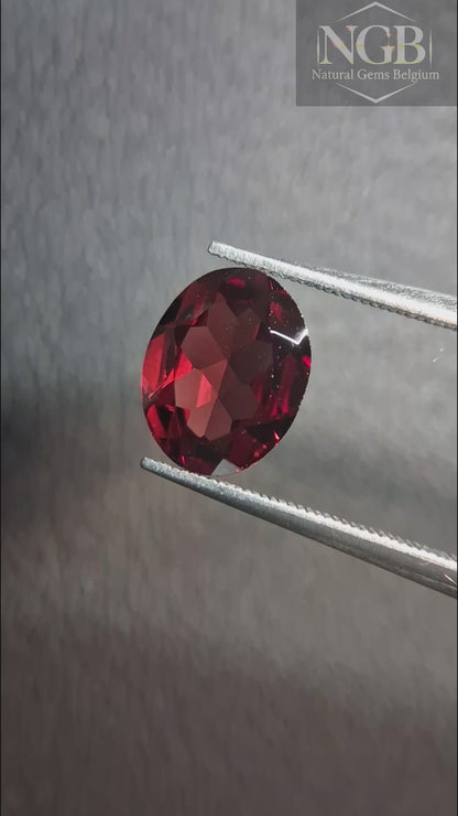 Natural Garnet - Rhodolite - 1.675 ct - oval faceted - red gemstone