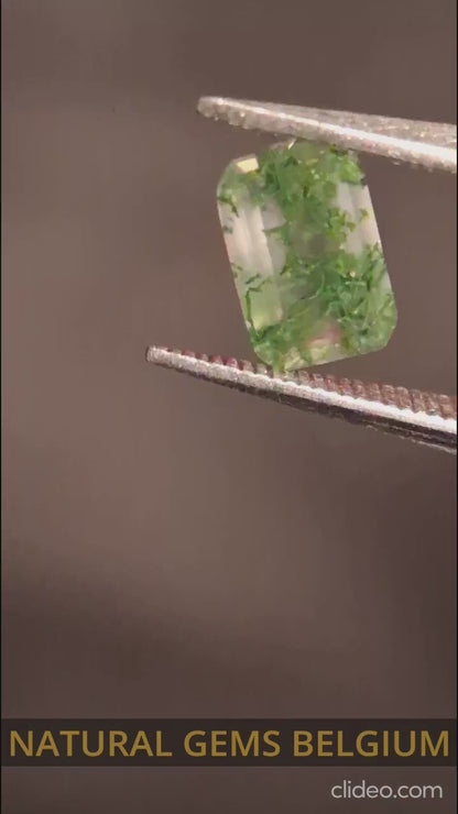 Natural Faceted Agate - Green Moss Agate - 0.473 ct - octagon