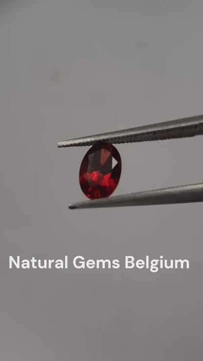 Natural red Rhodolite Garnet - 0.619 ct - oval - unheated - certified natural