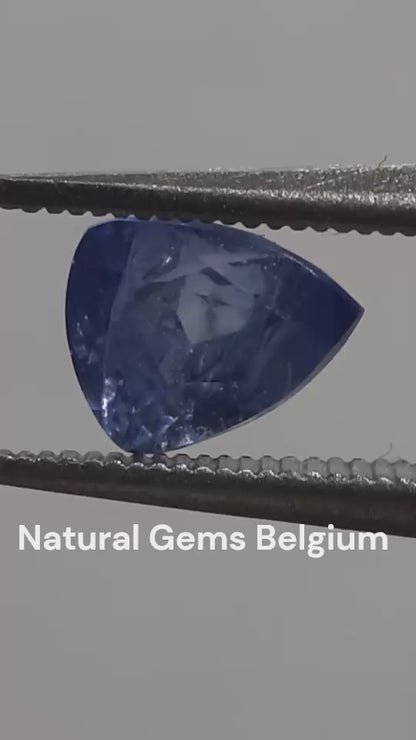 Natural blue sapphire - 0.70 ct - trillion - heated - Ceylon - certified by NGB