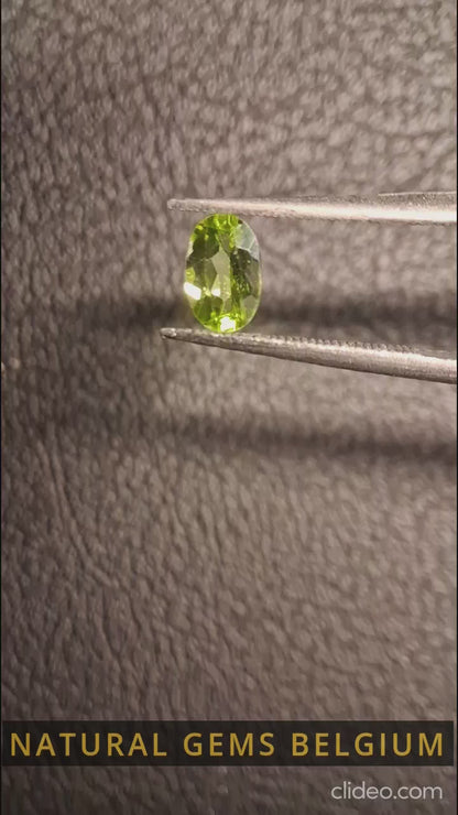 Péridot naturel - 0,496 ct - ovale - non chauffé - péridot vert