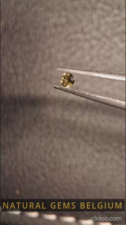 Tourmaline naturelle - vert jaunâtre - 2,4 mm - 0,063 ct - ronde - non chauffée