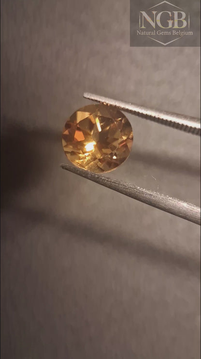 Citrine naturelle – Taille ronde facettée 7x 7 mm Jaune | Pierre en vrac 1,305 ct