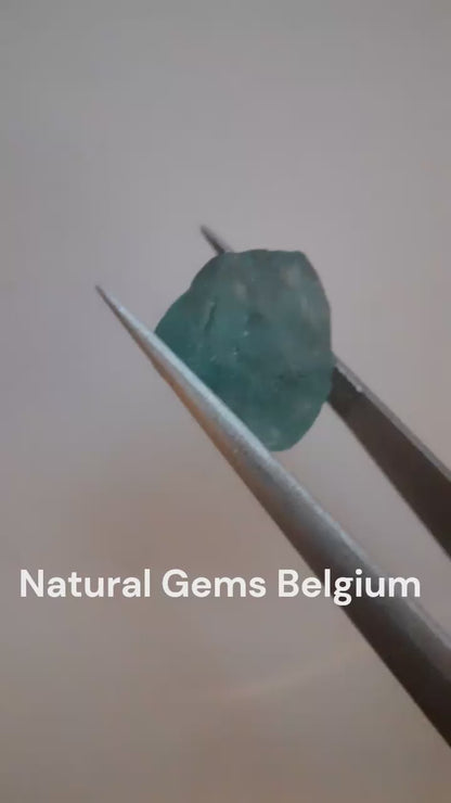 Natural ocean blue Apatite - 5.946 ct - Rough Gemstone