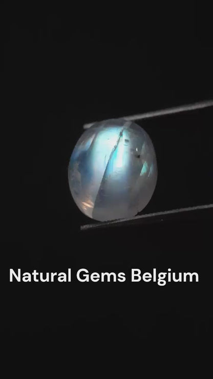 Natural Moonstone - light blue adularescence - 4.160 ct - oval cabochon