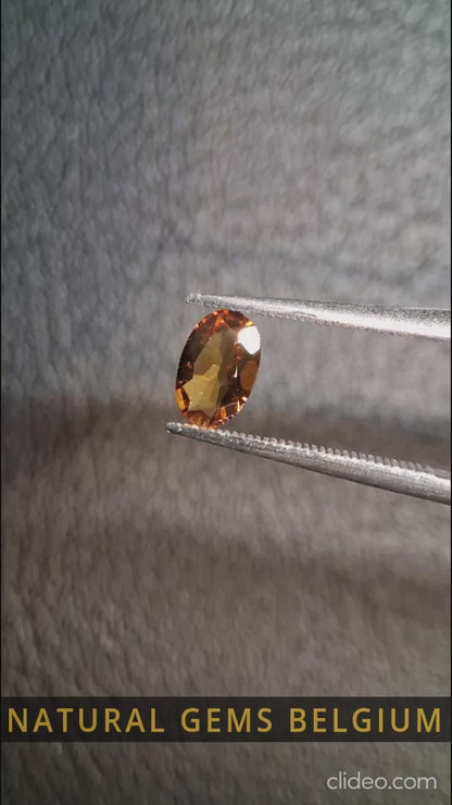Citrine Naturelle – Ovale Facettée 4x6 mm 0.371 ct Jaune Miel | Pierre Gemme Libre