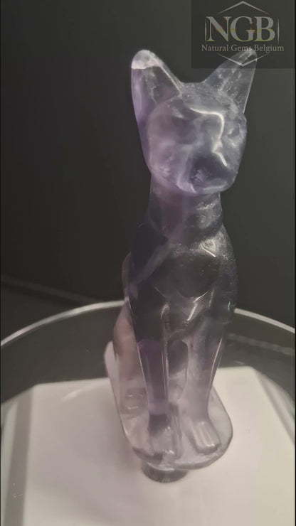 Natural Fluorite Cat Carving – 6.7 cm – Hand Carved Fluorite Crystal Figurine