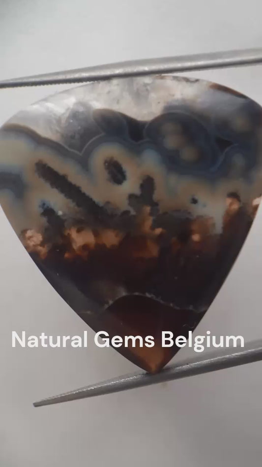 Natural blue and brown Agate - 37.078 ct - pear - rare sumatra palm root agate