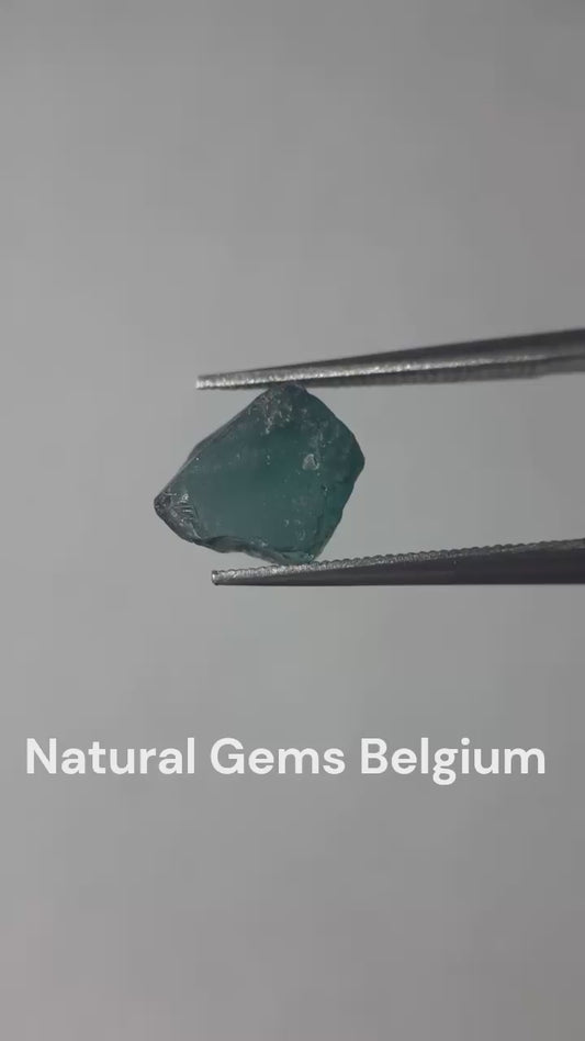 Natural bluish green Apatite - 1.593 ct - Rough Gemstone - unheated