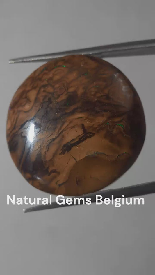 Natural orangy brown Winton Matrix Boulder Opal - 24.15 ct - semi round - unheated