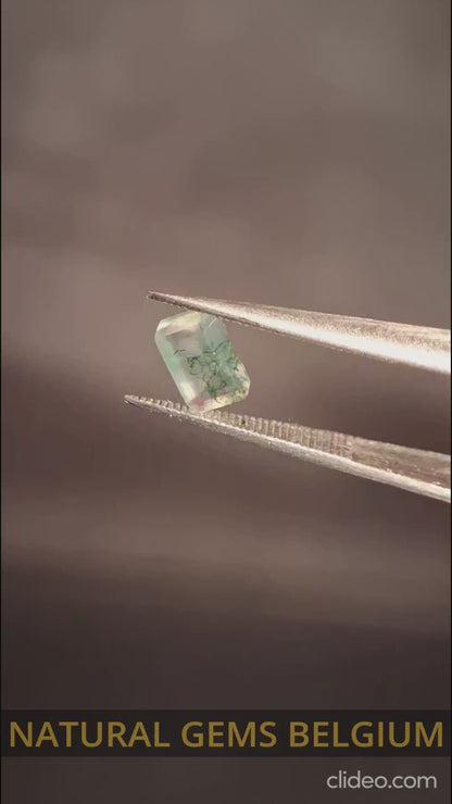 Natural Faceted Agate - Green Moss Agate - 0.483 ct - octagon