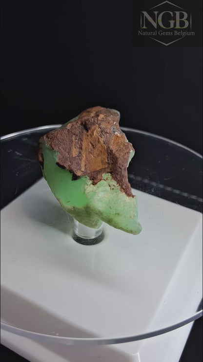 Chrysoprase naturelle brute d'Afrique – 110,31 ct – Spécimen de taille et de collection