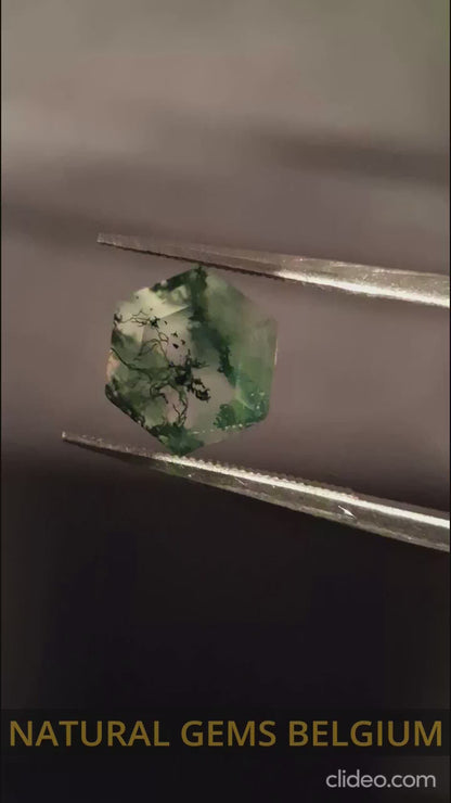 Natural Faceted Agate - Green Moss Agate - 2.015 ct - hexagon