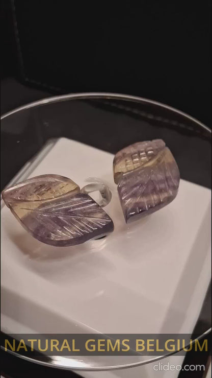 Natural Fluorite - bicolor - pair of leaves - 54 ct - handcarved