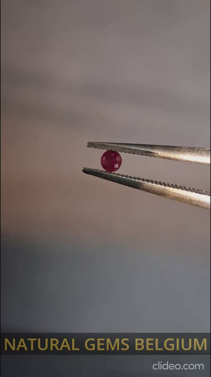 Natural Red Ruby - 0.04 ct - Round - heated - Burma
