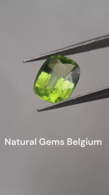 Natural Green Peridot - 3.309 ct - cushion - unheated - certified by NGB