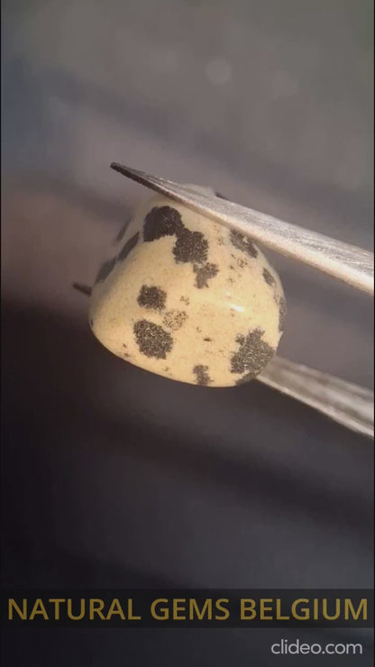 Natural Jasper - dalmatian jasper - tumbled jasper - 15.427 ct