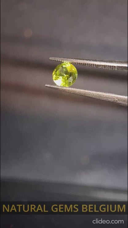 Natural Peridot - 0.535 ct - round - unheated - collectors item (lily pad)
