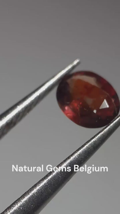 Natural orangy reddish purple Sapphire - 0.34 ct - oval - unheated - Tanzania - Certified by NGB