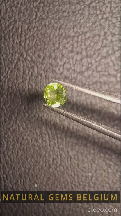 Péridot naturel - 0,524 ct - rond - non chauffé - péridot vert