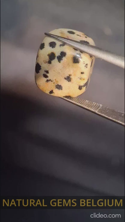 Natural Jasper - dalmatian jasper - tumbled jasper - 13.993 ct