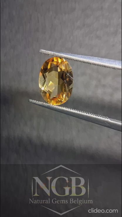 Citrine Naturelle – Pierre Précieuse Ovale Facettée 6x8 mm Jaune | Pierre Citrine à l'unité 1.300 ct
