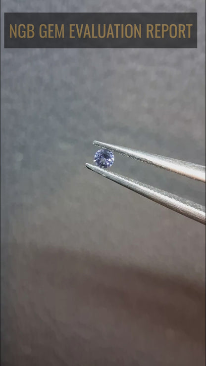 Tanzanite naturelle 0,032 ct Taille Brillant Rond 2,0 mm | Chauffée | Tanzanie