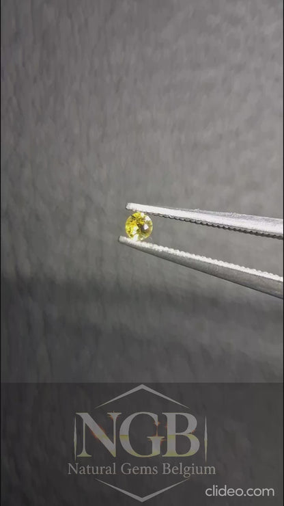 Natural Yellow Sapphire - 0.037 ct -2 mm Round cut - heated - Africa