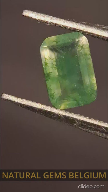 Natural Faceted Agate - Green Moss Agate - 0.467 ct - octagon